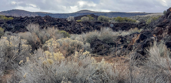 Snow Canyon State Park, Utah